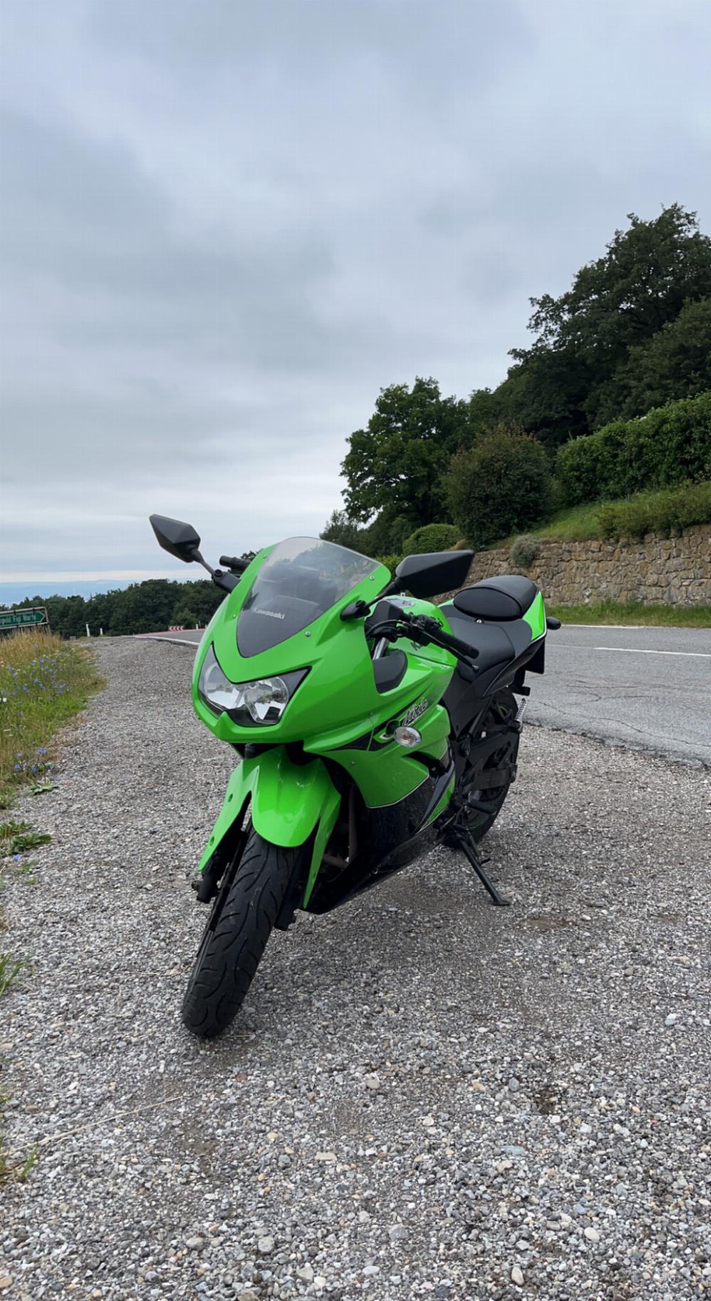 Motorrad verkaufen Kawasaki Ninja 250 R Ankauf